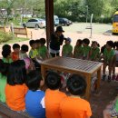 백상어린이집 이미지