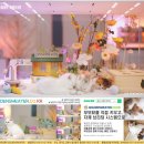 일신농장 | 고양이동물병원 추천해주는 고양이 집사의 솔직 후기
