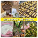 산바라기투어 - 중구 퇴계로49길 2 | 가평 가볼만한곳 체험나라공화국 in 가평 생동감투어 서울근교 당일치기 여행