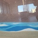 마레마레송정 이미지