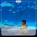 윤슬유치원 | 14개월 아기랑 다녀온 대구아쿠아리움 후기ㅣ대구 아기랑 가볼만한 실내놀거리 추천