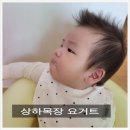 중기목장 이미지