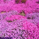 송현리경로당 이미지