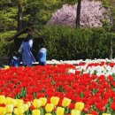 음수동 | 봄 은 신록으로 완성 된다