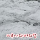 가족머리방 - 포항시 북구 | 가족머리방