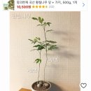 꽃동네화원 - 동해시 한섬로 43-1 | 꽃동네화원