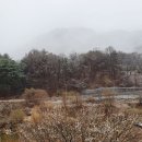 새봄농장(3) 이미지