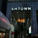 SM개발