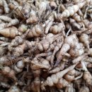 덕채농장 이미지