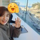 신일세탁소 | 삼척 장호 비치 캠핑장 세 번째 방문/장호 비치 캠핑장 명당/ 사이트 C17 2박 3일