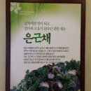 행복식당뷔페 이미지