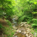 봉학골산림욕장 이미지