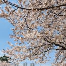 colors of spring ! 이미지