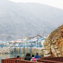 온시그널