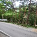 조령산자연휴양림 | 조령산자연휴양림 굴참나무(맨꼭대기) 후기