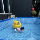 숲정 이미지