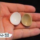 코리아의안센터 이미지