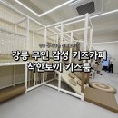 강릉속초키즈 | 강릉 키즈카페 진짜 후기ㅣ직접 다녀 온 착한토끼키즈카페 총 정리