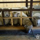 봉양3길 이미지