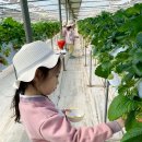 명화농장 이미지