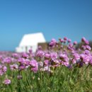 정도행정사 이미지