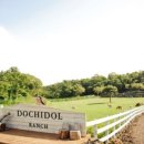 기상목장 이미지