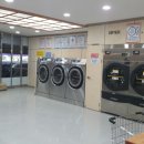 죽도세탁 이미지