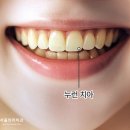 서울의리치과의원 이미지