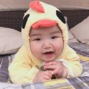 안녕하세요365 이미지