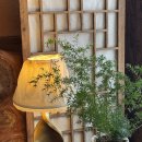 대정한의원 이미지