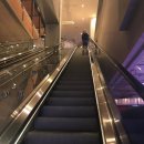 더코인 | 라스베가스 더코스모폴리탄 저층 파운틴뷰 후기 | 벨라지오 분수쇼를 방 안에서⛲️