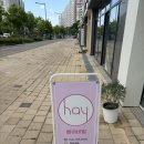 헤이도네일