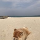 설악해변 이미지