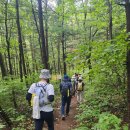 대관령어흘리관광지 | ● 대관령소나무 숲길 트레킹 + 안목해변 산책