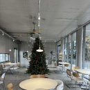 세실농장 | 함덕 크리스마스트리 카페 추천 커피 맛집 세실