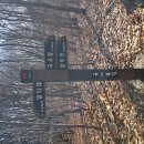 부량면 벽량초등학교 이미지