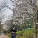 창천목장 | 제주도 1박2일 (아침미소목장, 하이엔드제주, 더본호텔, 돌고래조련체험) 2019.04.10~11