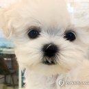 재진축산 이미지