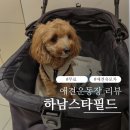 스타애견 | 코코와 함께한 하남스타필드 애견운동장 후기