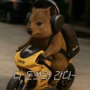 스타토 - 강남구 강남대로84길 23 | 스타토