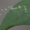 재송초등학교 이미지