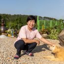 푸른 꿈나무의 집 이미지