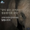 상아 - 서구 청사로 282 | 상아