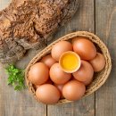 한국농장농업회사법인 주식회사 | 농업회사법인 양계장청년 주식회사 유정란 신선하고 맛있어요