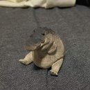 뉴욕프렌즈
