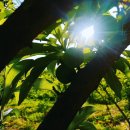 봉자농장 이미지