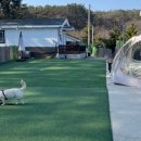 플레이하운드 이미지