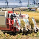 죽동마을 이미지