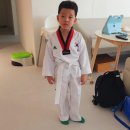 용인대 마루한 태권도 이미지