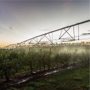 학자농장 이미지